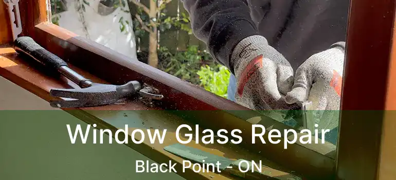  Window Glass Repair Black Point - ON