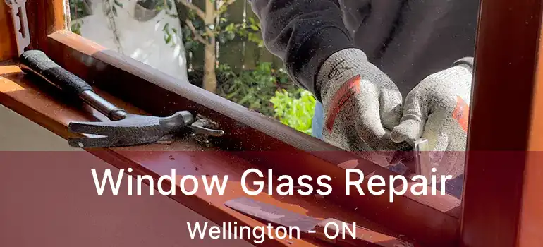  Window Glass Repair Wellington - ON