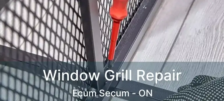  Window Grill Repair Ecum Secum - ON