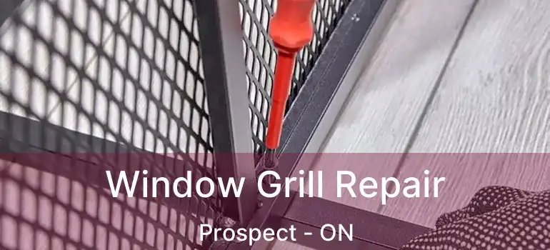  Window Grill Repair Prospect - ON