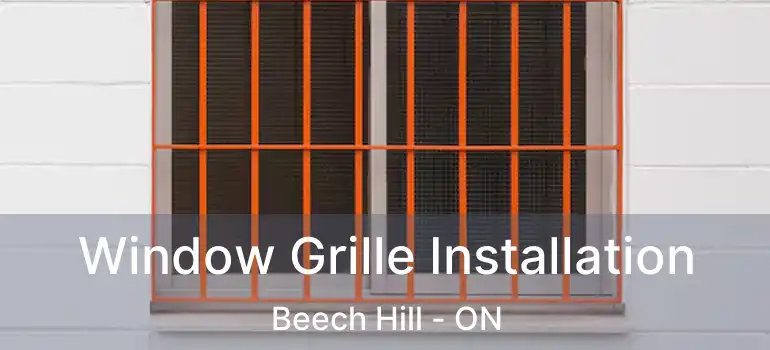  Window Grille Installation Beech Hill - ON