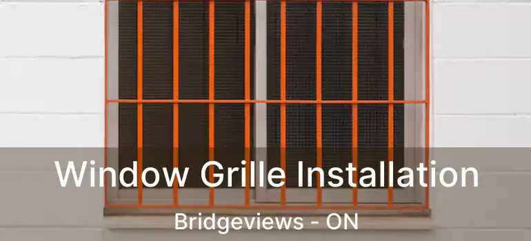  Window Grille Installation Bridgeviews - ON