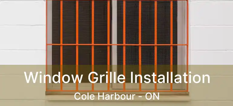  Window Grille Installation Cole Harbour - ON