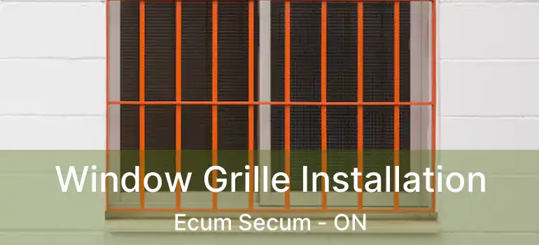  Window Grille Installation Ecum Secum - ON