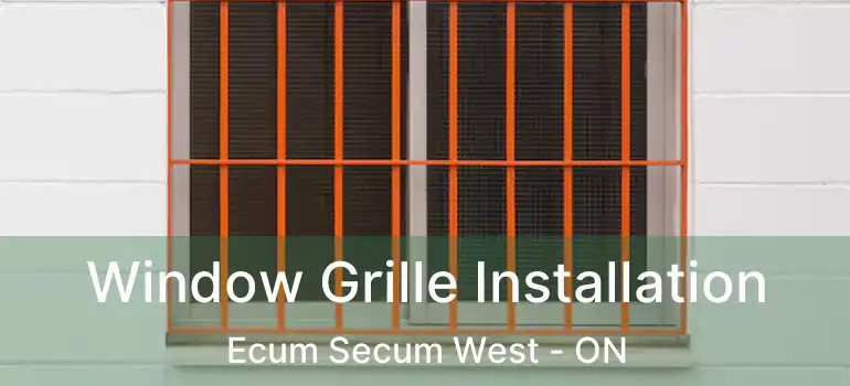  Window Grille Installation Ecum Secum West - ON
