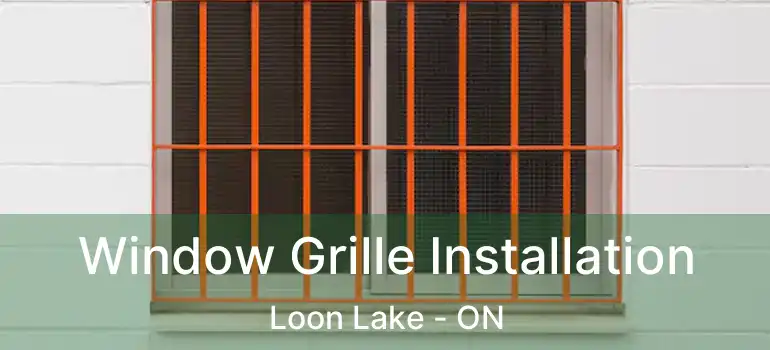  Window Grille Installation Loon Lake - ON