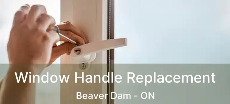  Window Handle Replacement Beaver Dam - ON