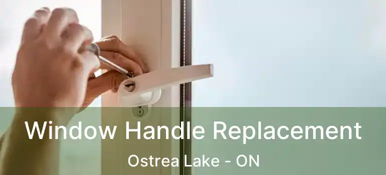  Window Handle Replacement Ostrea Lake - ON