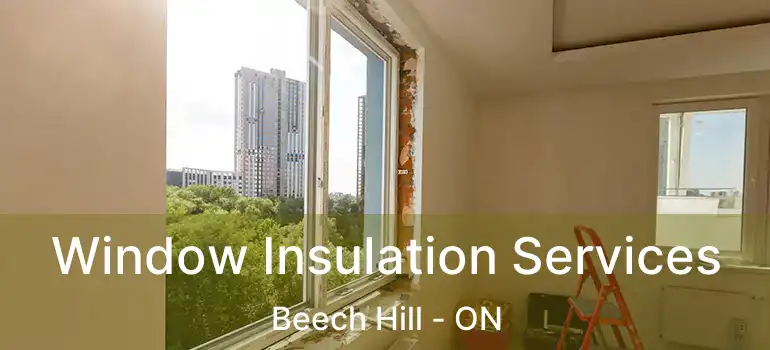  Window Insulation Services Beech Hill - ON