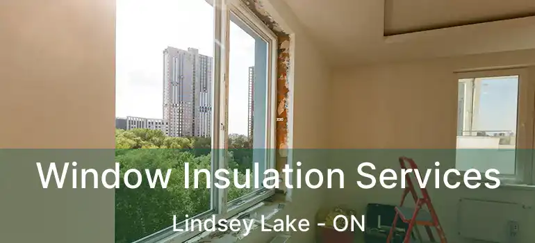  Window Insulation Services Lindsey Lake - ON