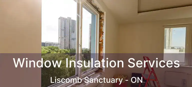  Window Insulation Services Liscomb Sanctuary - ON