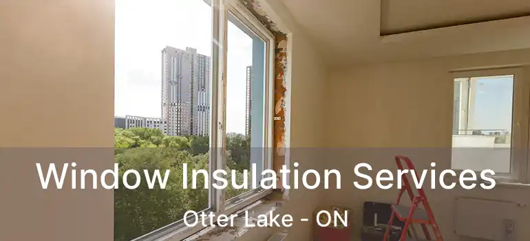  Window Insulation Services Otter Lake - ON