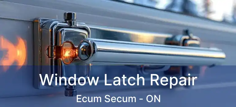  Window Latch Repair Ecum Secum - ON