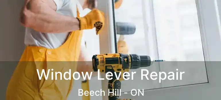  Window Lever Repair Beech Hill - ON