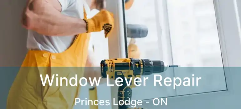  Window Lever Repair Princes Lodge - ON