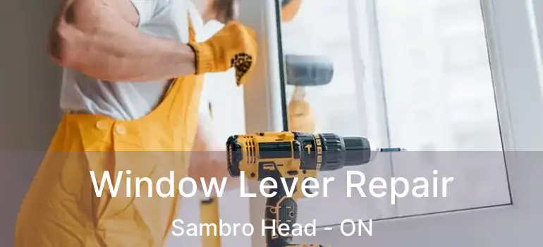  Window Lever Repair Sambro Head - ON