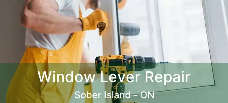  Window Lever Repair Sober Island - ON