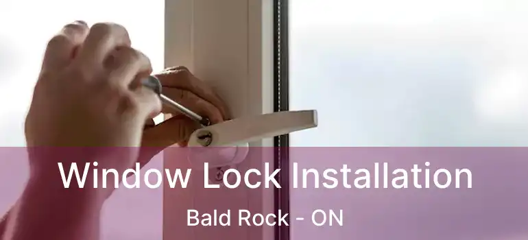  Window Lock Installation Bald Rock - ON
