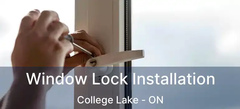  Window Lock Installation College Lake - ON
