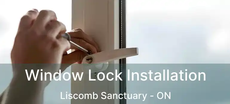  Window Lock Installation Liscomb Sanctuary - ON