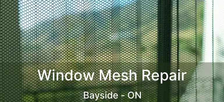  Window Mesh Repair Bayside - ON