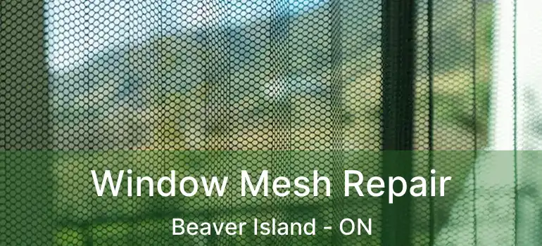  Window Mesh Repair Beaver Island - ON