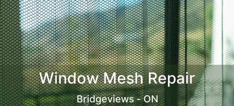  Window Mesh Repair Bridgeviews - ON