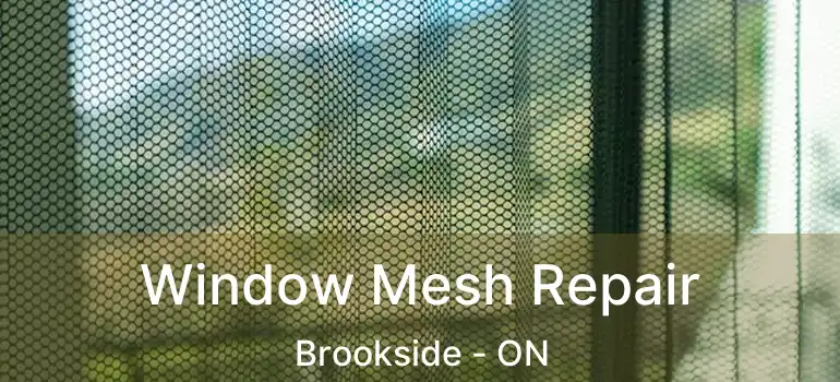  Window Mesh Repair Brookside - ON