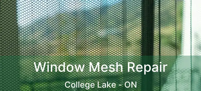  Window Mesh Repair College Lake - ON