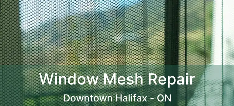  Window Mesh Repair Downtown Halifax - ON