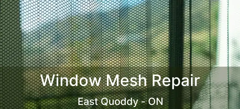  Window Mesh Repair East Quoddy - ON