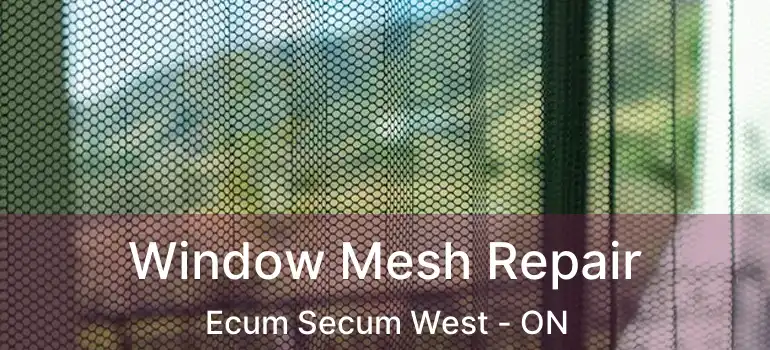  Window Mesh Repair Ecum Secum West - ON