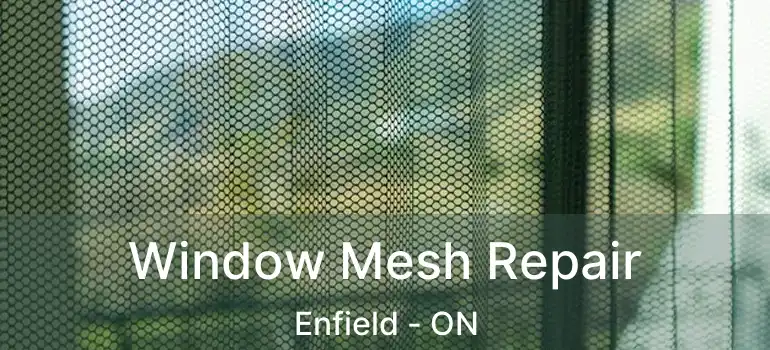  Window Mesh Repair Enfield - ON