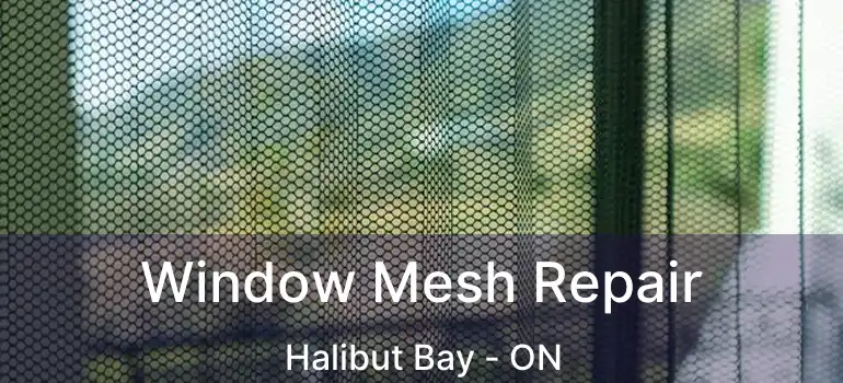  Window Mesh Repair Halibut Bay - ON
