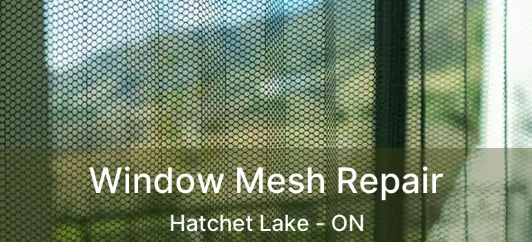  Window Mesh Repair Hatchet Lake - ON
