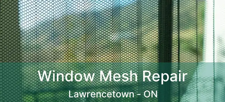  Window Mesh Repair Lawrencetown - ON