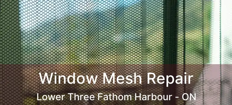  Window Mesh Repair Lower Three Fathom Harbour - ON