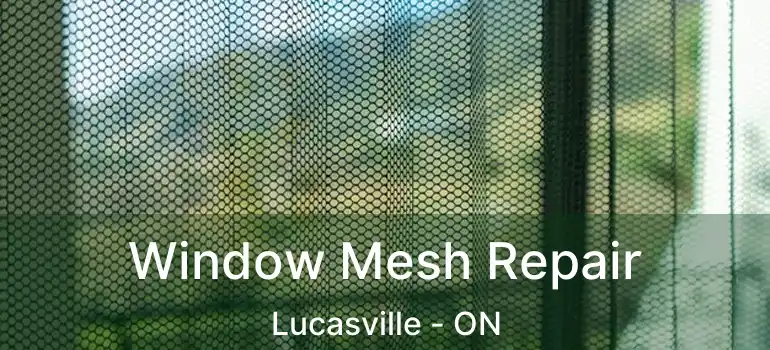  Window Mesh Repair Lucasville - ON