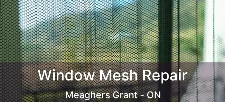  Window Mesh Repair Meaghers Grant - ON