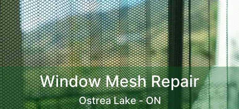  Window Mesh Repair Ostrea Lake - ON