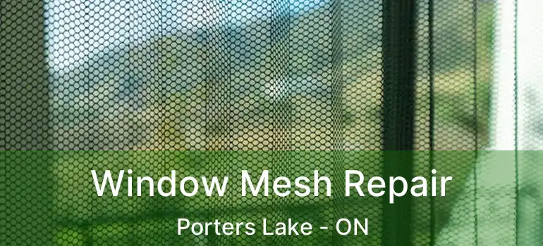  Window Mesh Repair Porters Lake - ON