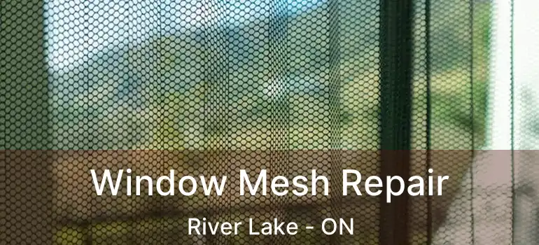  Window Mesh Repair River Lake - ON