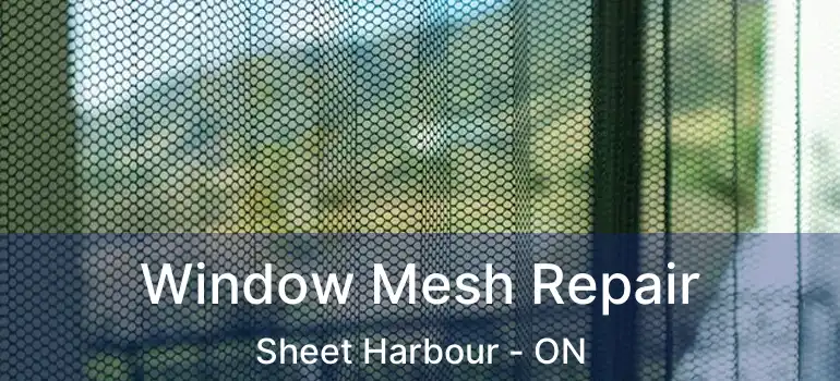  Window Mesh Repair Sheet Harbour - ON