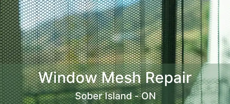  Window Mesh Repair Sober Island - ON