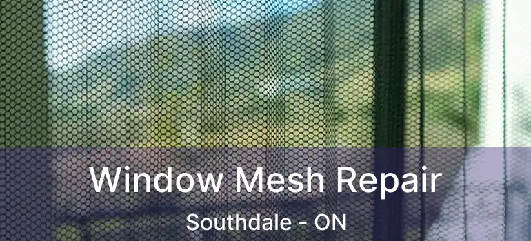  Window Mesh Repair Southdale - ON