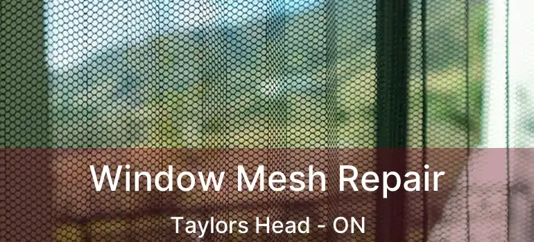  Window Mesh Repair Taylors Head - ON