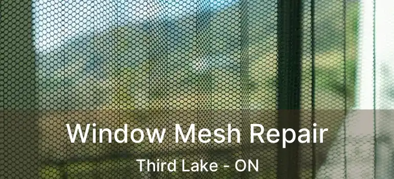 Window Mesh Repair Third Lake - ON