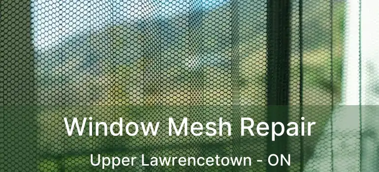  Window Mesh Repair Upper Lawrencetown - ON