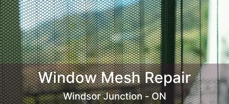  Window Mesh Repair Windsor Junction - ON