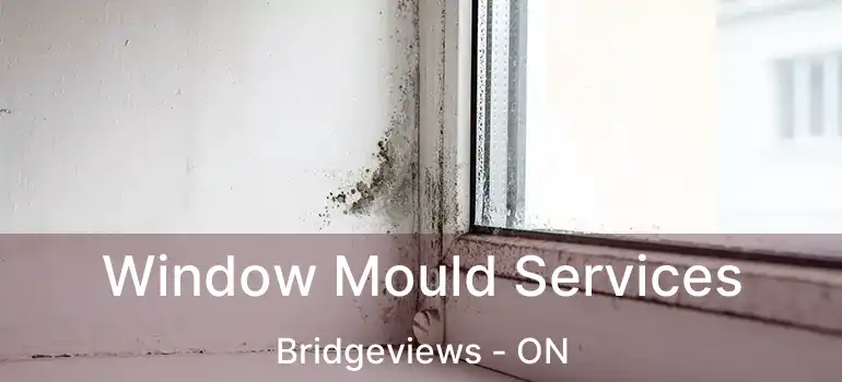  Window Mould Services Bridgeviews - ON